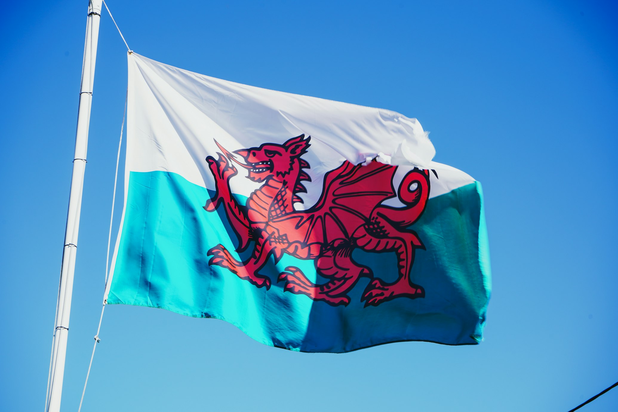 Y Ddaig Goch by Catrin Ellis - https://unsplash.com/photos/red-and-white-flag-with-dragon-Xvw16l-b2uo